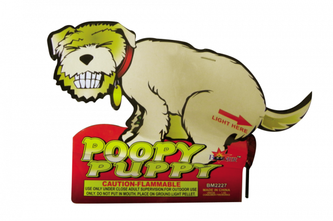 pooping dog